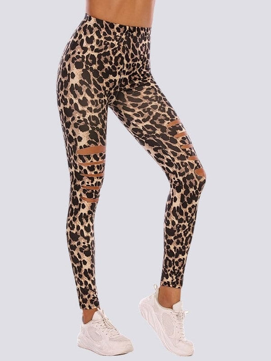 Legging Léopard Troué Leggings Helanke-Srbija.com sa 