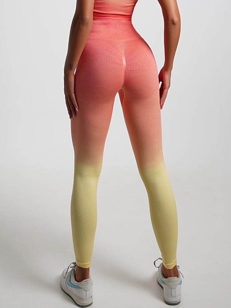 Legging Ombré Push Up Taille Haute Leggings Helanke-Srbija.com sa Orange 