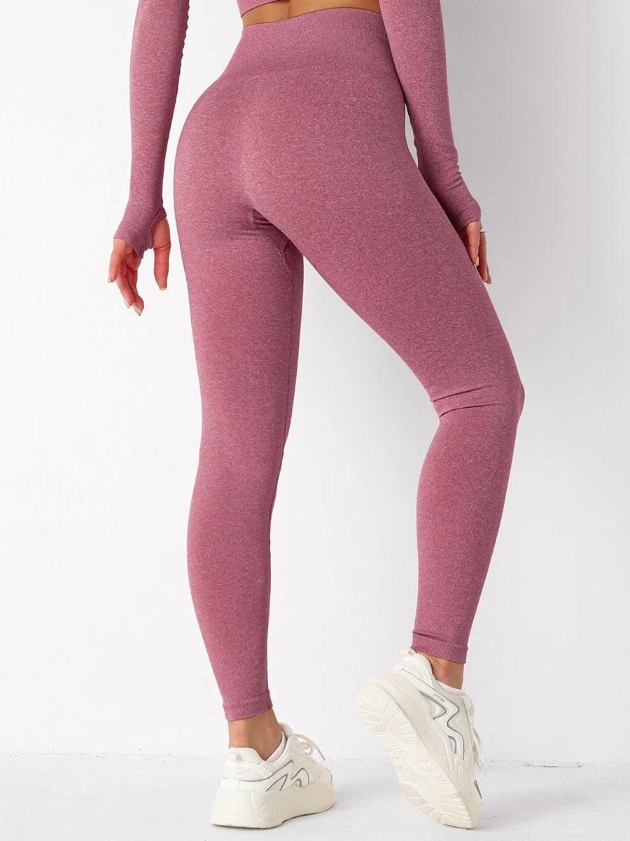 Legging Sans Couture Sport Leggings Helanke-Srbija.com : Legging Femme | Vêtements de Sport sa Bordeaux 
