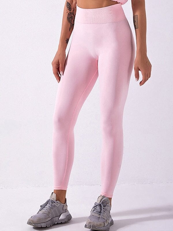 Legging Sport Opaque Sans Couture Helanke-Srbija.com sa Rose 